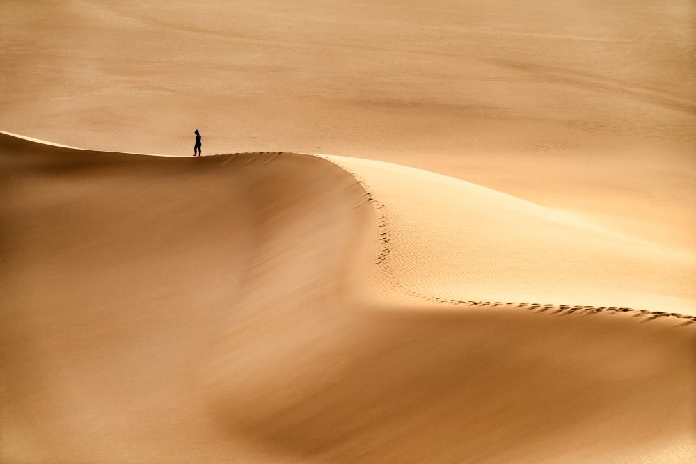Man and the desert de Hamid Jamshidian