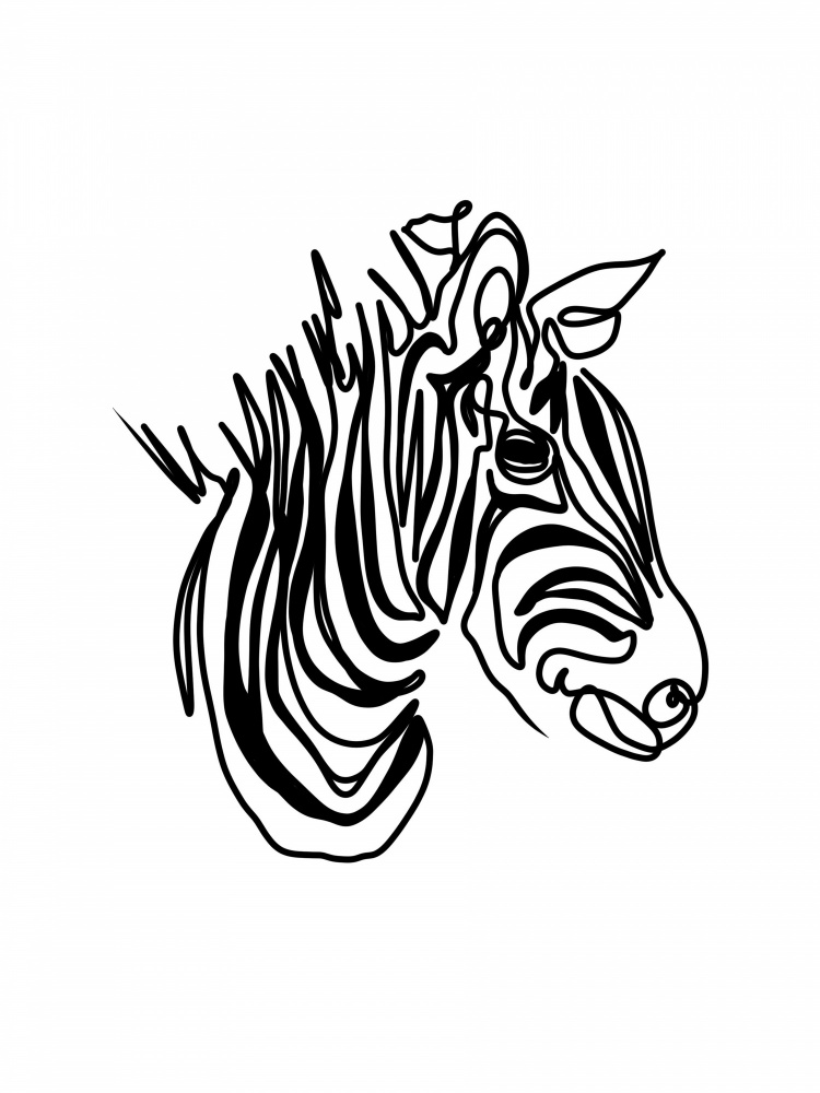 The Zebra de Hanna Lee Tidd