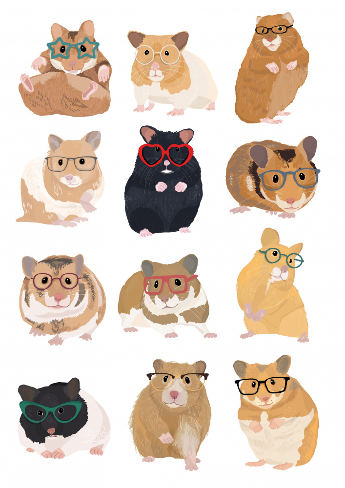 A1 Hamsters In Glasses de Hanna Melin