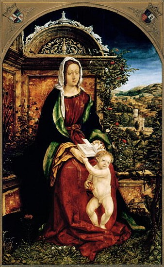 The Virgin and Child de Hans Burgkmair