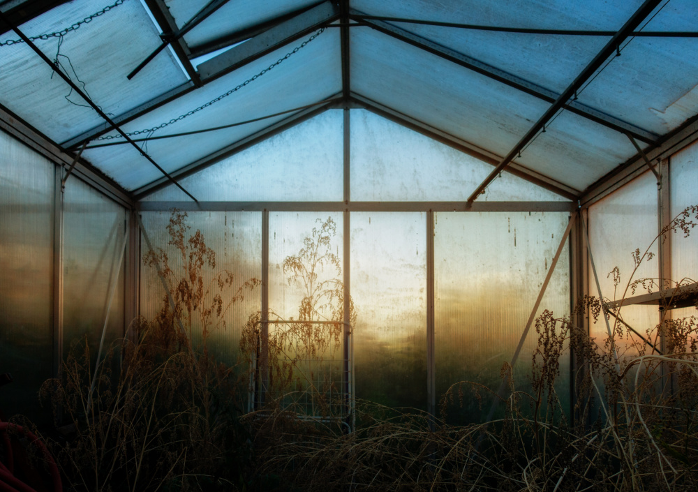 The greenhouse de Hans Günther