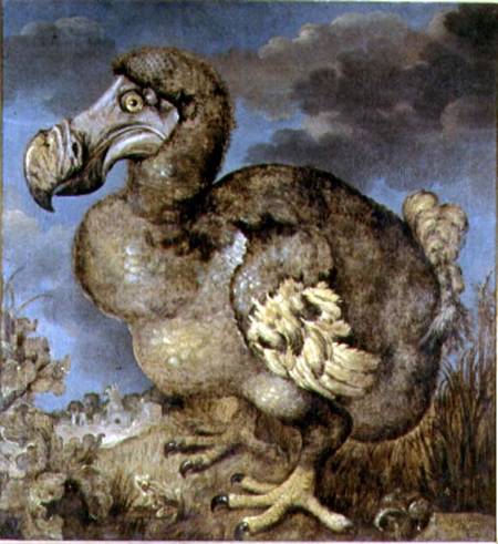 The Dodo de Hans I Savery
