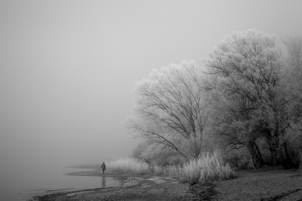 A foggy day at the lake de Hans Peter Rank