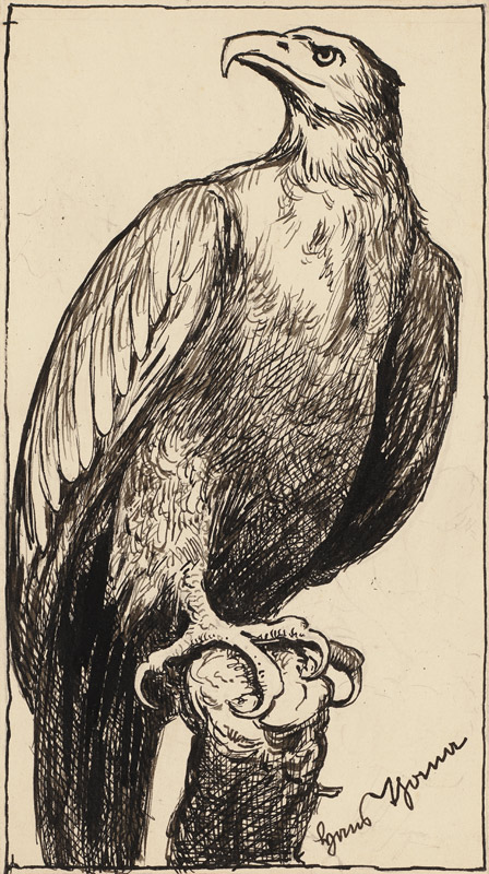 Zeichnung zur Fibel: Adler de Hans Thoma
