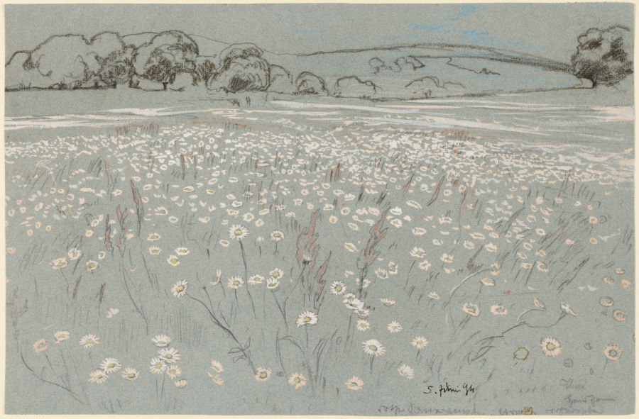 Meadow with Daisys de Hans Thoma