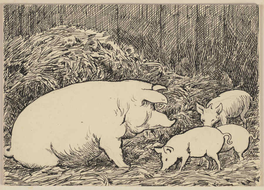 Zeichnung zur Fibel: Schwein de Hans Thoma