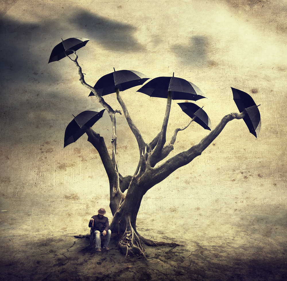 Waiting man and the umbrella tree de Hari Sulistiawan