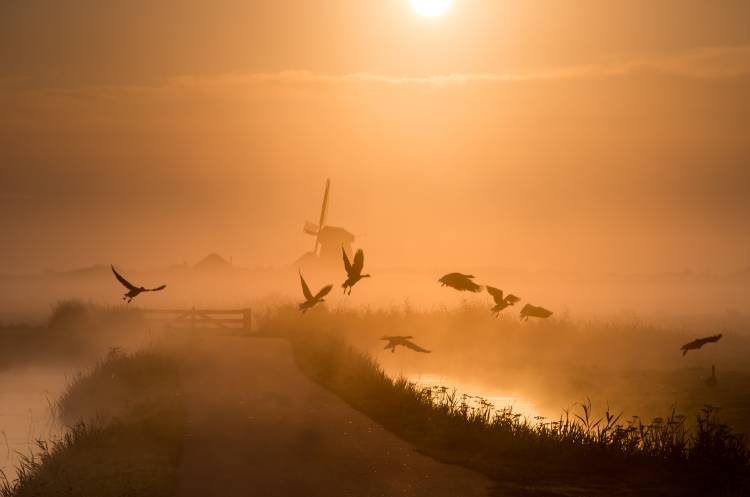 Sunrise Flight de Harm Klaverdijk