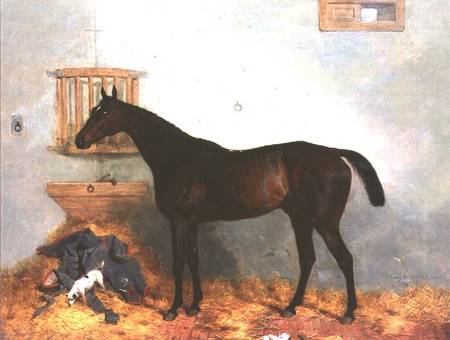 Thoroughbred in a Stable de Harry Hall