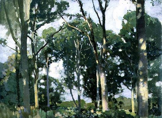 Trees in sunlight (panel) de Harry Watson