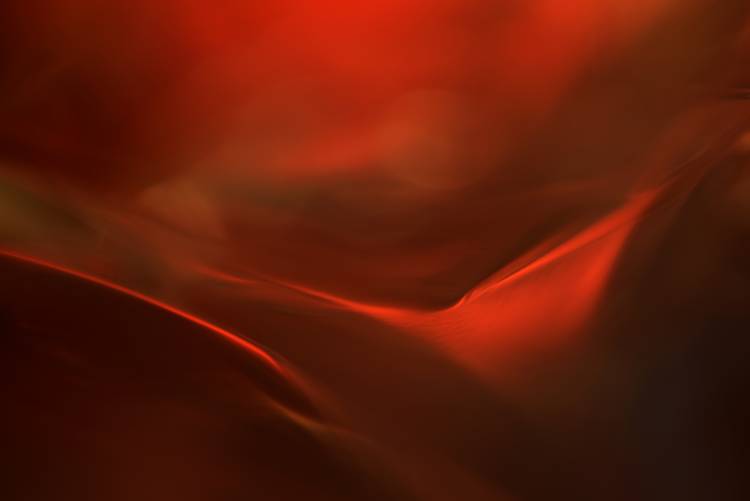 The red valley de Heidi Westum
