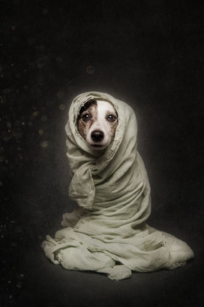 Wrapped de Heike Willers