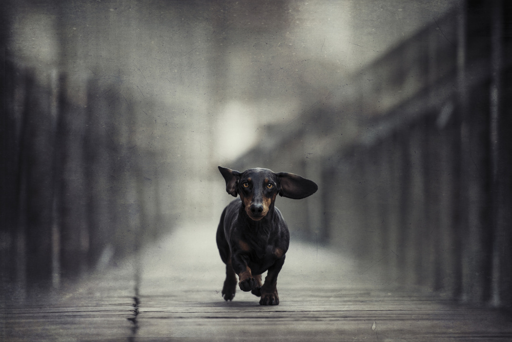 &quot;Cities, like dreams, are made of desires and fears.&quot; (Italo Calvino) de Heike Willers