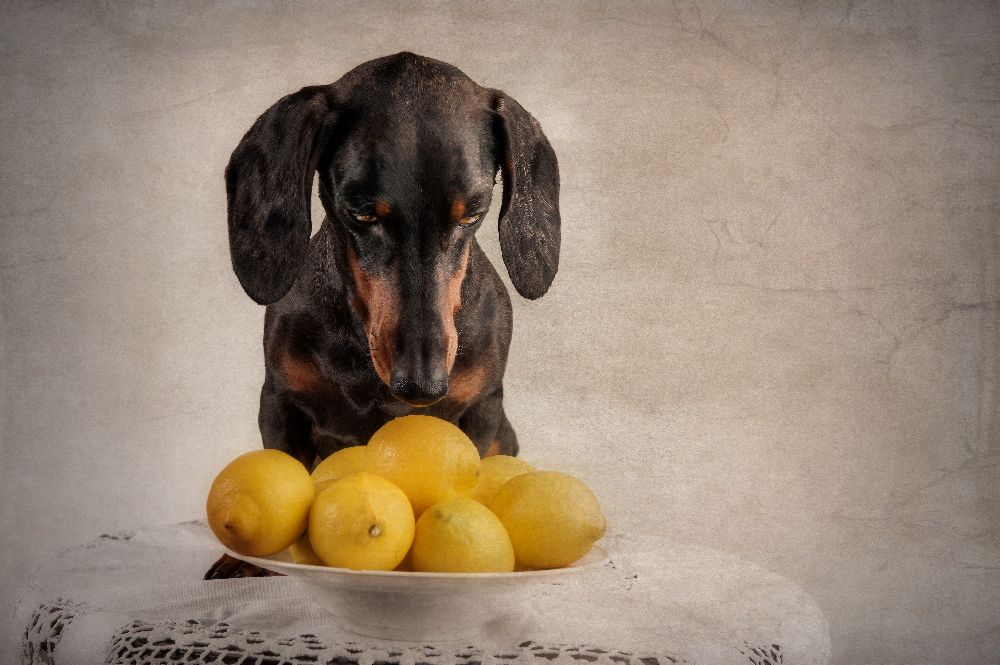 When Life Gives You Lemons... de Heike Willers