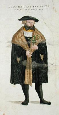 Portrait of of the author age 41, from 'De Historia Stirpium Commentarii Insignes', by Leonard Fuchs de Heinrich Fullmaurer