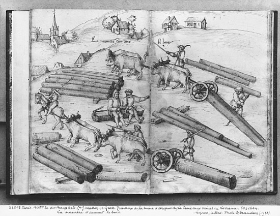 Siver mine of La Croix-aux-Mines, Lorraine, fol.3v and 4r, transporting wood, c.1530 de Heinrich Gross or Groff