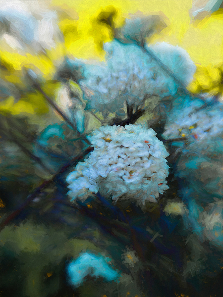 Blooming Maytime de Helen White