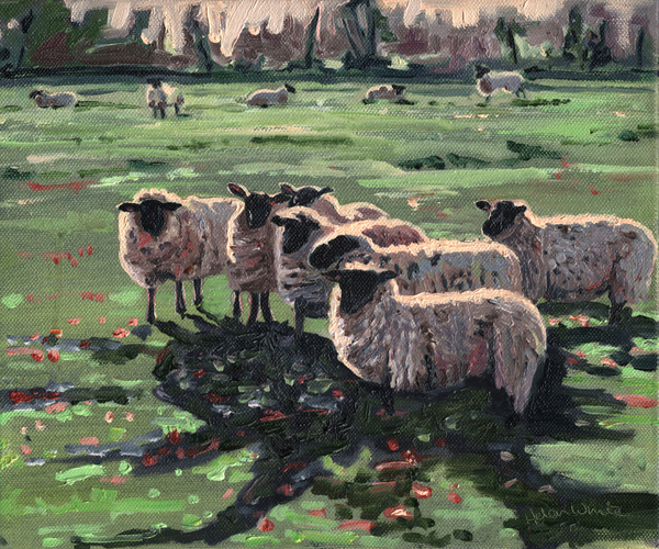 Curious Flock I de Helen White