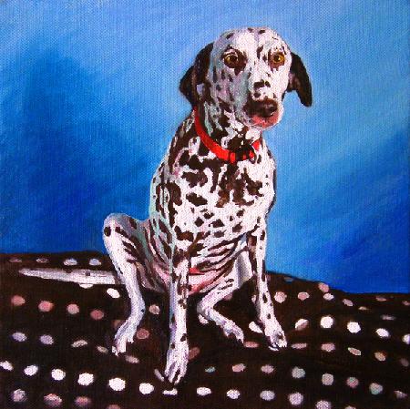 Dalmatian on spotty cushion