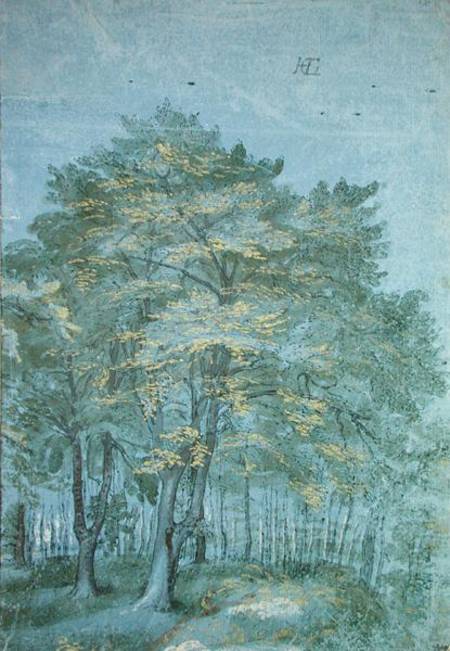 Group of Trees in a Wood de Hendrick Goltzius