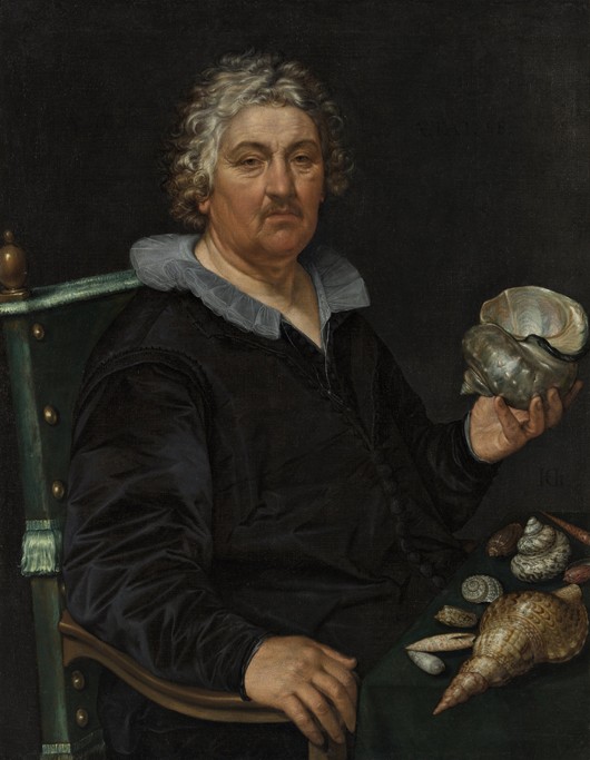 Portrait of the Haarlem Shell Collector Jan Govertsen van der Aer de Hendrick Goltzius