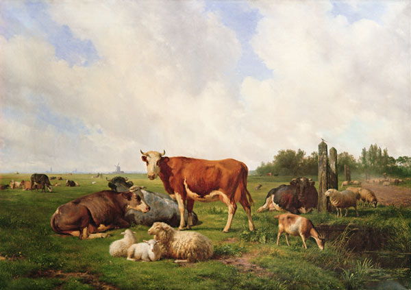 Sheep and Cattle in a Field de Hendrick van de Sande Bakhuyzen
