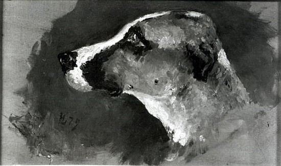 Head of a Dog with Short Ears de Henri de Toulouse-Lautrec