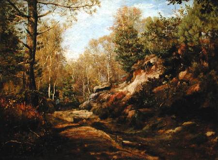 Pines and Birch Trees or, The Forest of Fontainebleau de Henri Joseph Constant Dutilleux