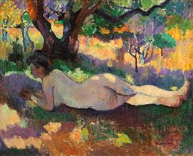 Nude under the Trees (Nu sous les arbres)