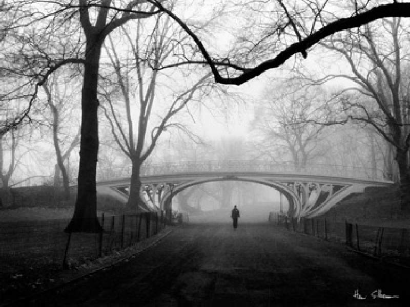 Gothic Bridge, Central Park NYC de Henri Silberman