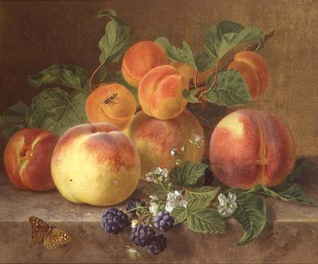 Still Life of Peaches de Henrietta Ronner-Knip