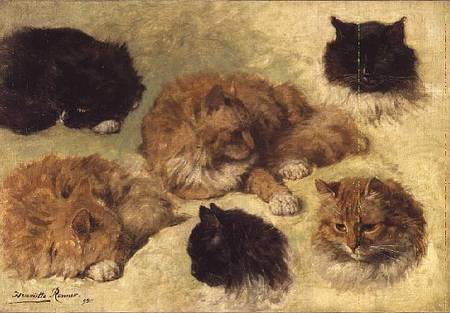 Studies of Cats de Henrietta Ronner-Knip
