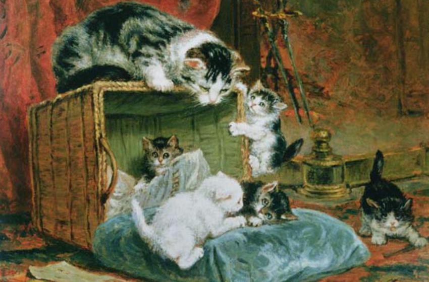 Henriette Ronner-Knip