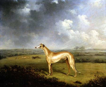 Reverend Henry Bate Dudley's Greyhound 'The Miller' de Henry Bernard Chalon
