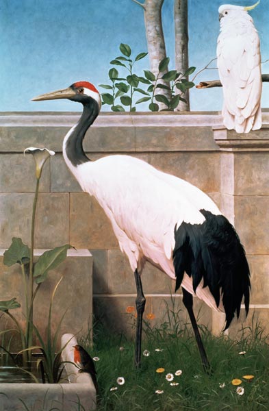 Manchurian Crane, Cockatoo and Robin de Henry Stacey Marks