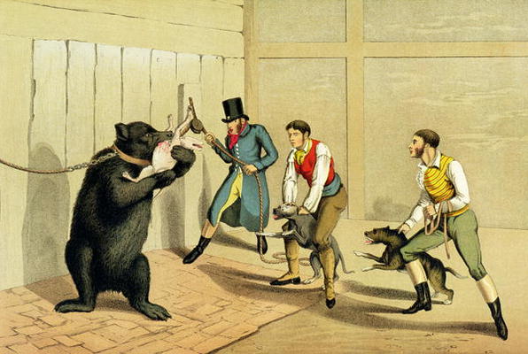 'Bear Baiting', pub. by Thomas McLean, 1820, (sporting print) de Henry Thomas Alken