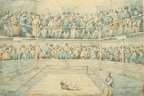 Dog Fight at the Westminster Pitt, 1821