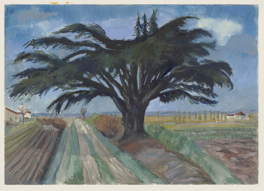 Großer Baum zwischen Feldern bei Montauban de Hermann Lismann