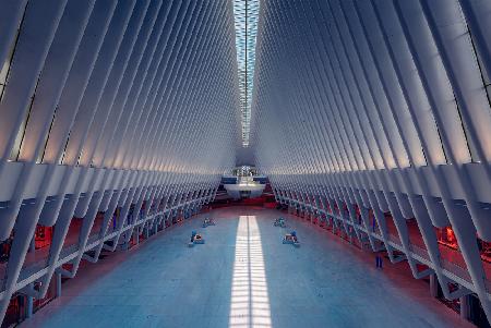 Inside the Oculus - Metro Station New York