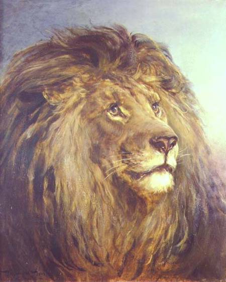 A Lion's Head de Heywood Hardy