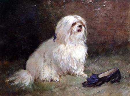 A Maltese Terrier de Heywood Hardy