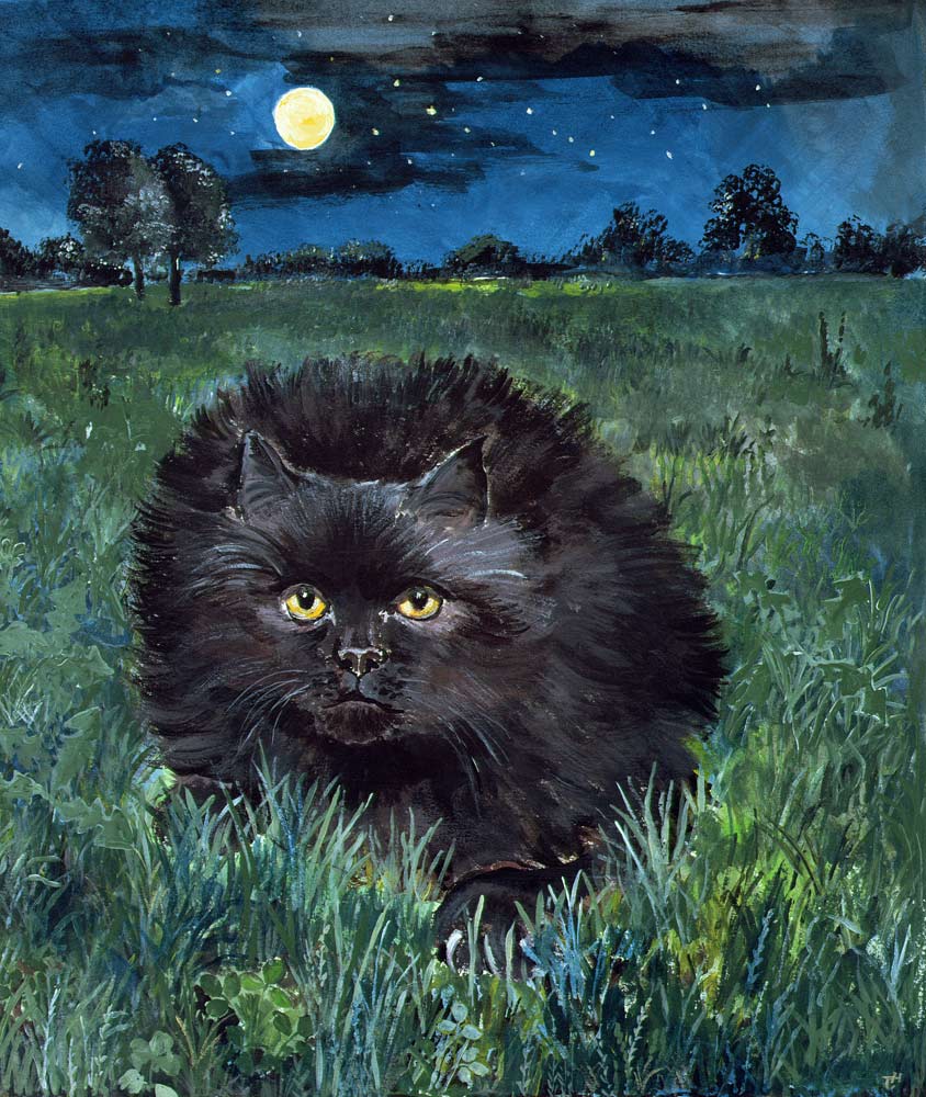 The Cat and the Moon (acrylic on paper)  de Hilary  Jones