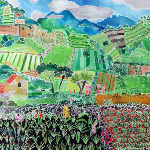 Cabbages and Lilies, Solola Region, Guatemala, 1993 (coloured inks on silk)  de Hilary  Simon