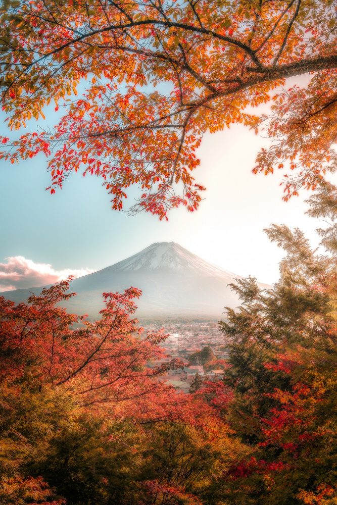 Beautiful Autumn in Japan de まちゅばら/Hiroki Matsubara
