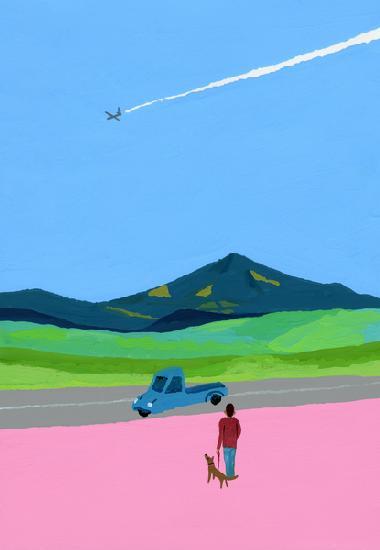 Airplane and pick up truck and dog and meadow