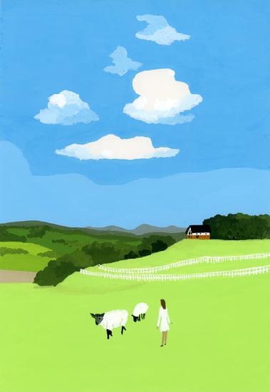 Prairie and sheep