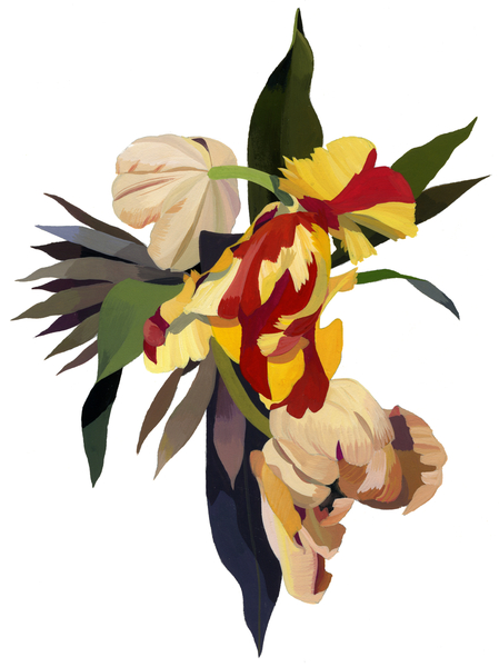 Tulip parrot2 de Hiroyuki Izutsu