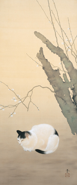 Cat and Plum Blossoms (Katze und Pflaumenblüten de Hishida Shunso