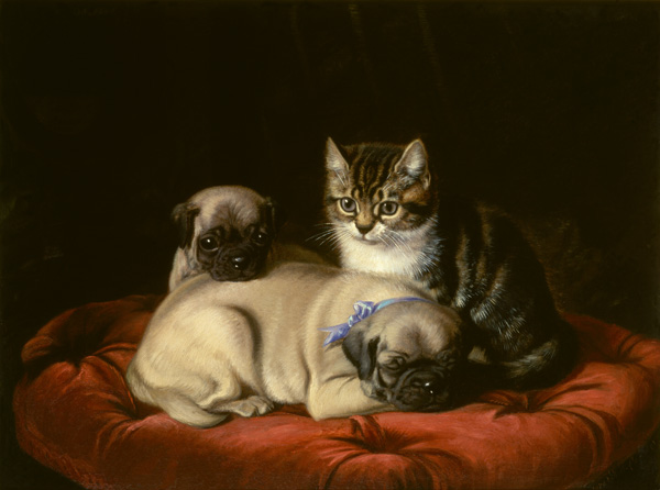 Zwei Möpse und ein Kätzchen de Horatio Henry Couldery