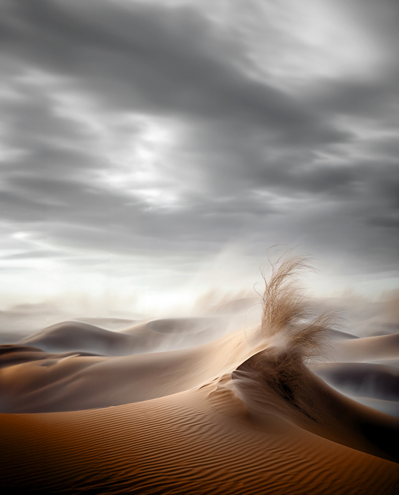Desert Waves de Hosam.Karara
